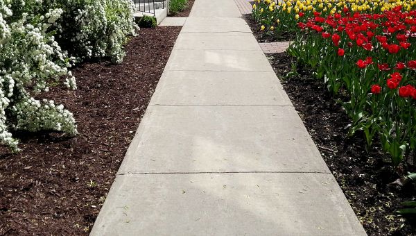 Cement Sidewalk Installation in Reston