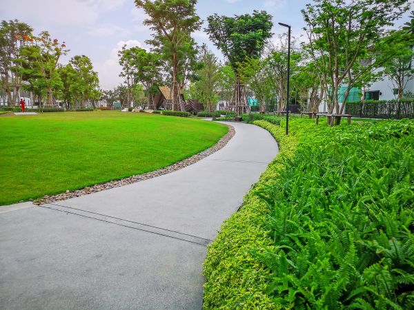 Cement Walkway Service in Reston