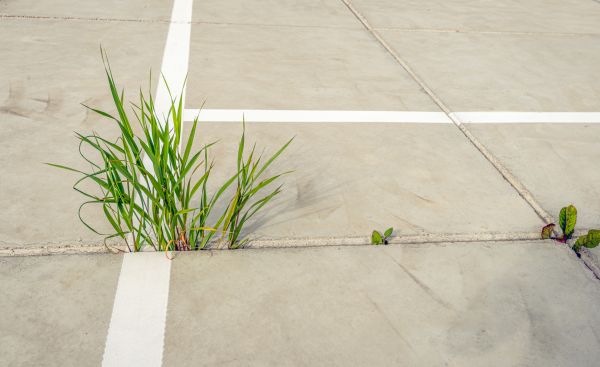 Concrete Parking Installation in Reston